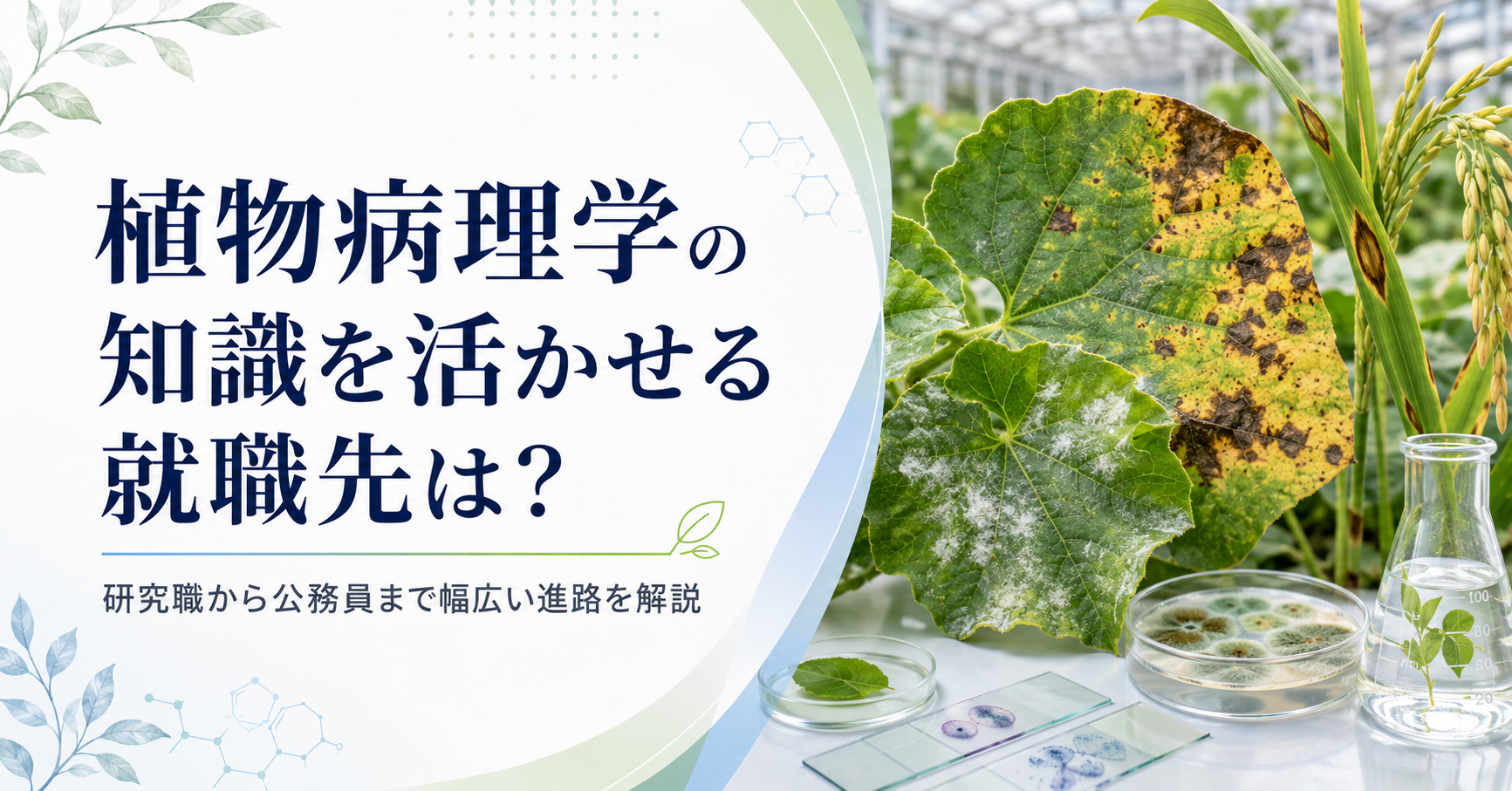 植物病理学の知識を活かせる就職先は？研究職から公務員まで幅広い進路を解説